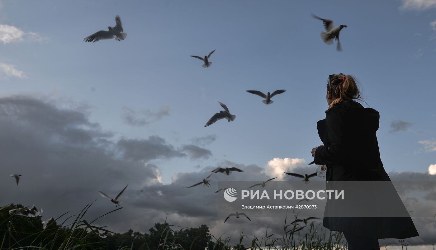 Повседневная жизнь