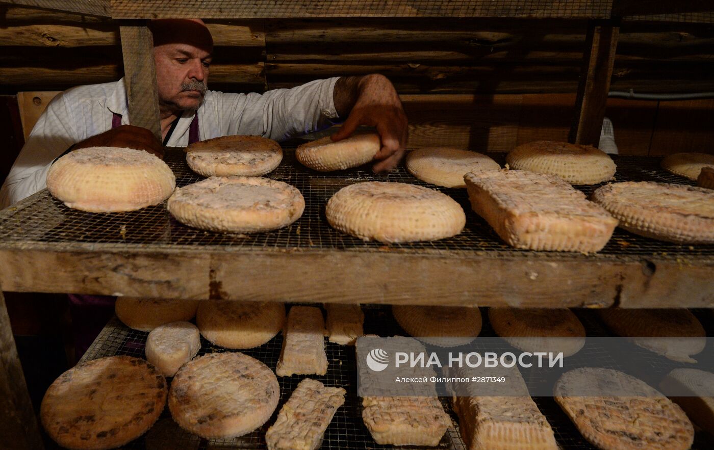 Производство французских сыров на ферме Владимира Борева в Липецкой области