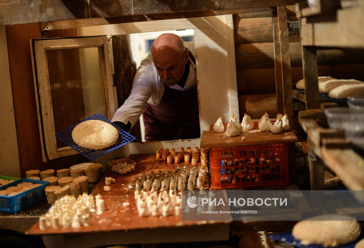 Производство французских сыров на ферме Владимира Борева в Липецкой области