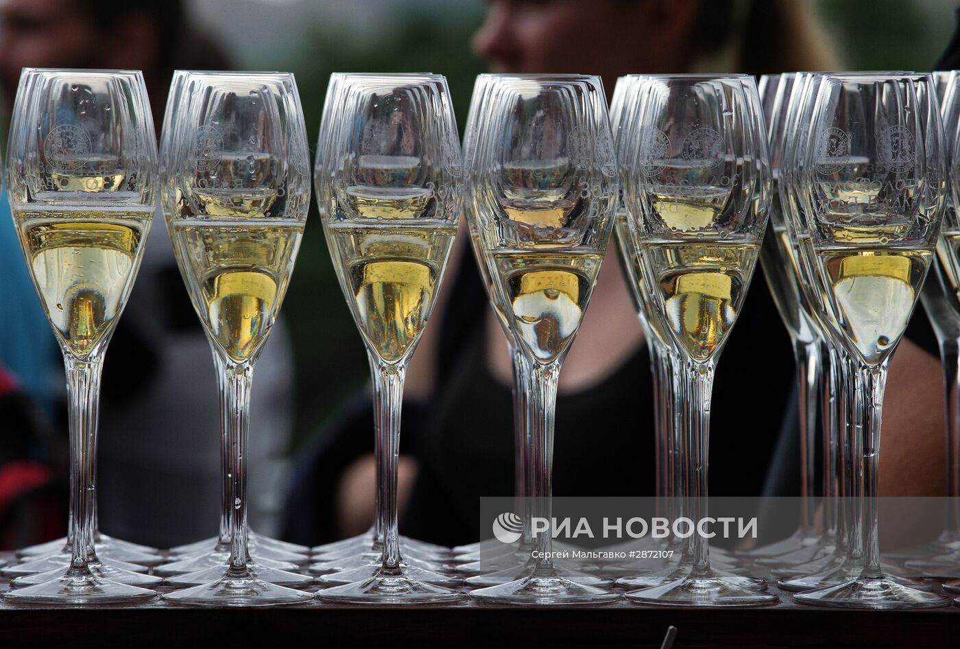 Открытие шампанерии "Золотая Балка" в Крыму