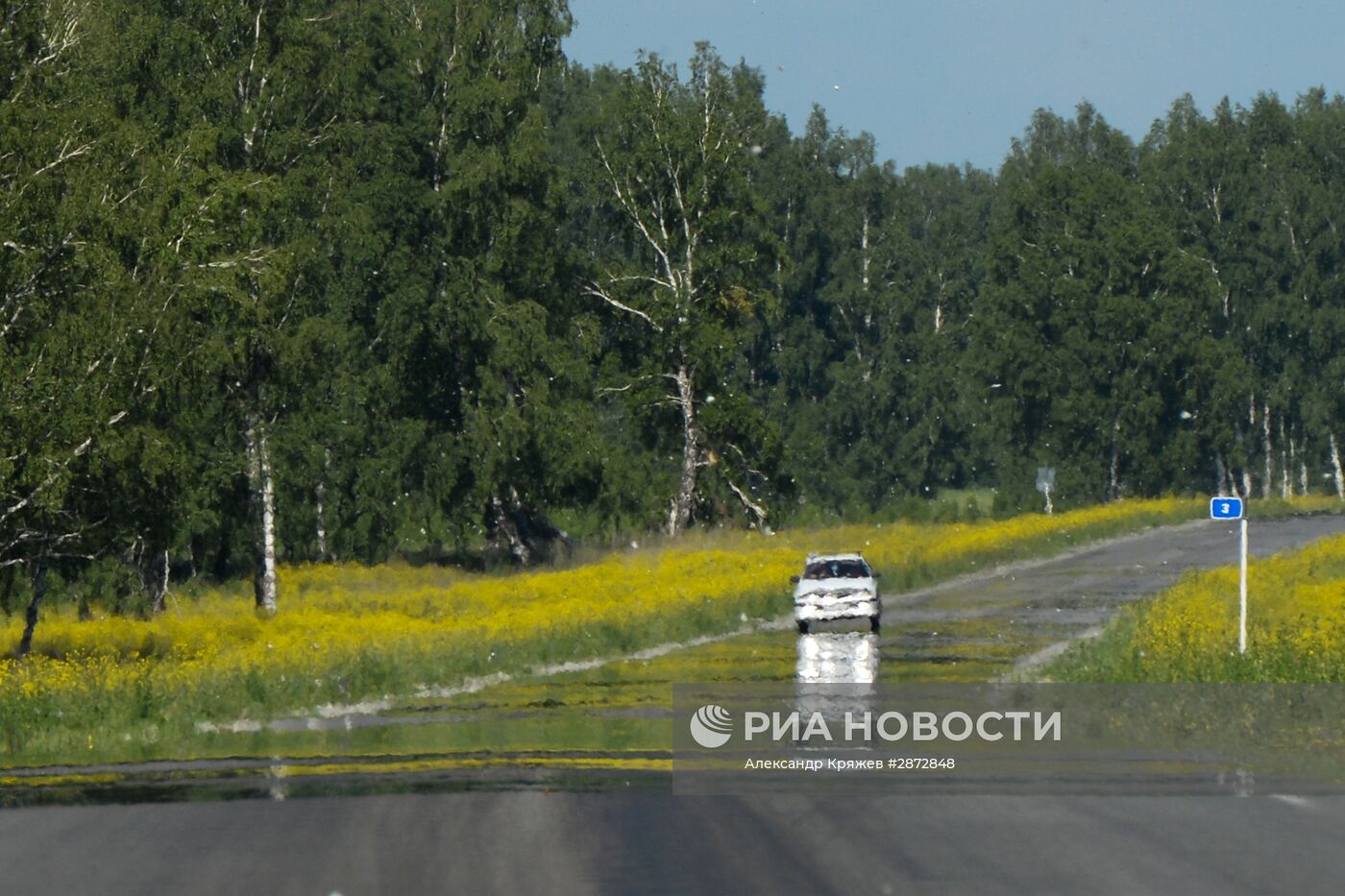 Лето в Новосибирской области