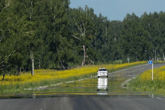 Лето в Новосибирской области