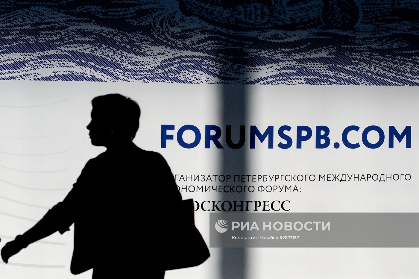 XX Петербургский международный экономический форум. День первый