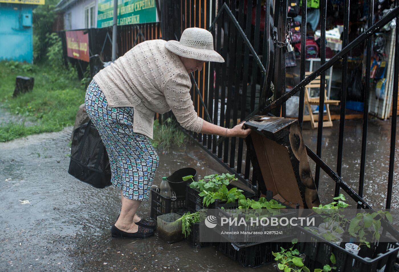 Регионы России. Омская область