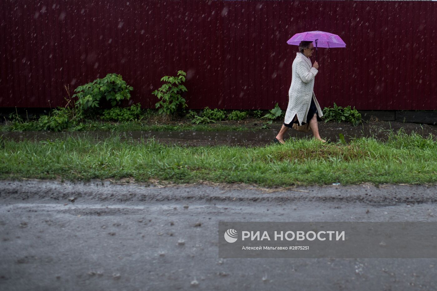 Регионы России. Омская область