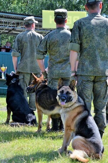 Открытие Всеармейского этапа конкурса кинологов ВС РФ "Верный друг"