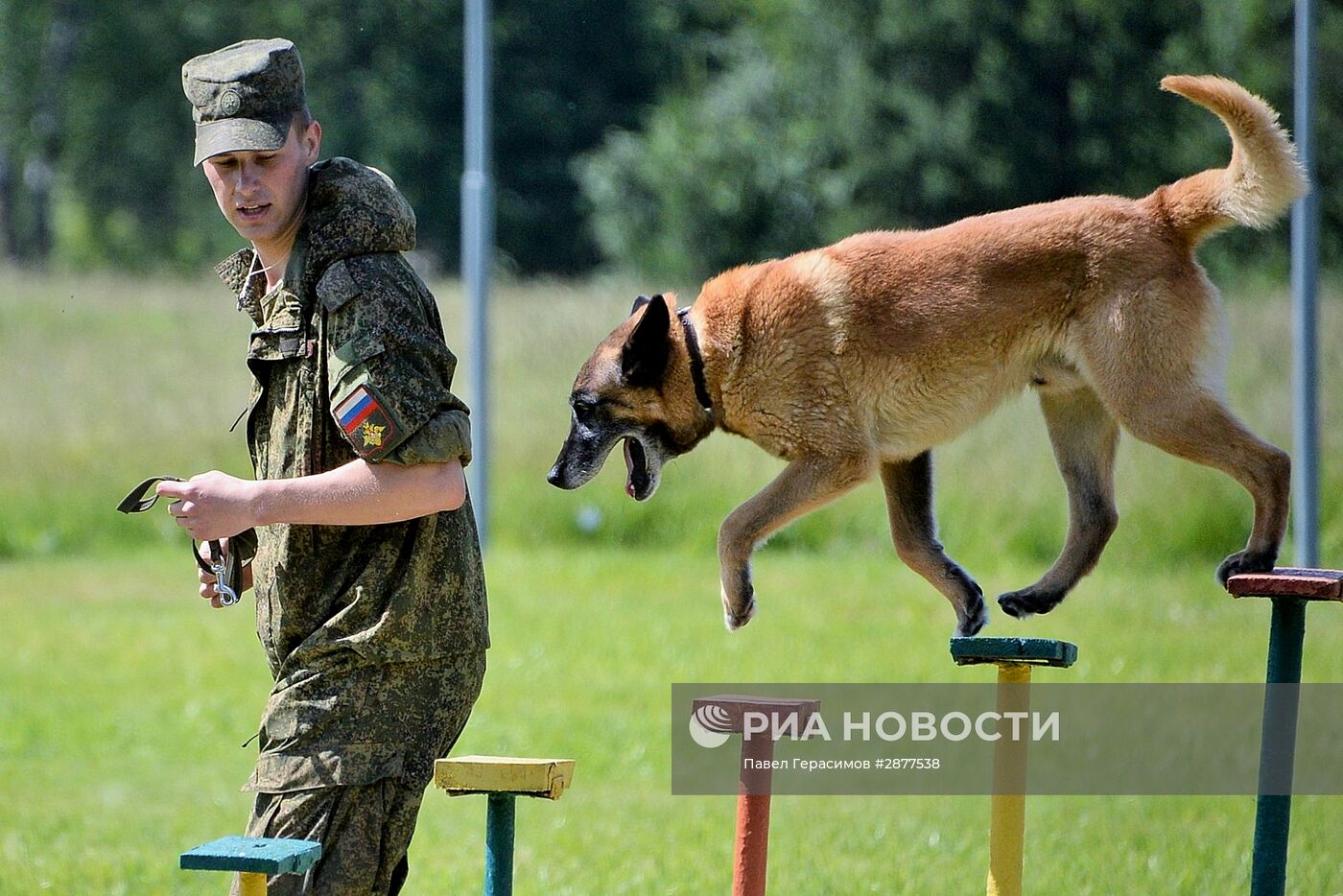 Открытие Всеармейского этапа конкурса кинологов ВС РФ "Верный друг"