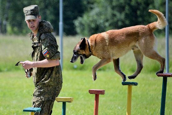 Открытие Всеармейского этапа конкурса кинологов ВС РФ "Верный друг"