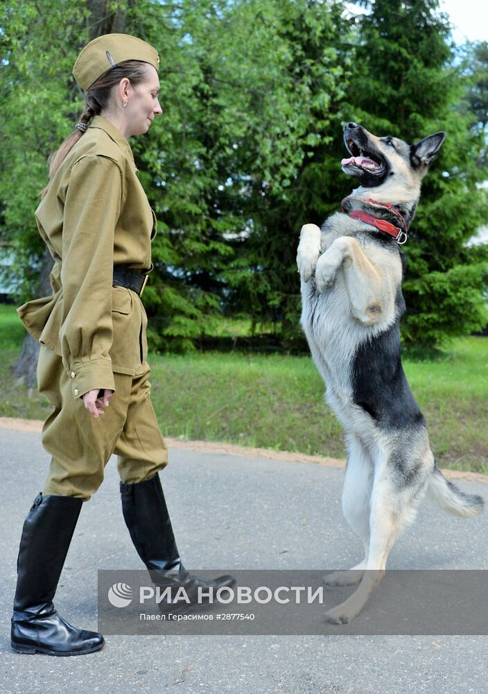 Открытие Всеармейского этапа конкурса кинологов ВС РФ "Верный друг"