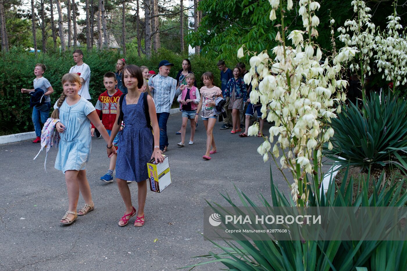 Детский оздоровительный лагерь "Бригантина" в Крыму