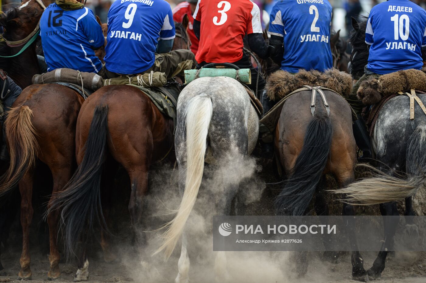 Чемпионат Республики Алтай по Кок бору