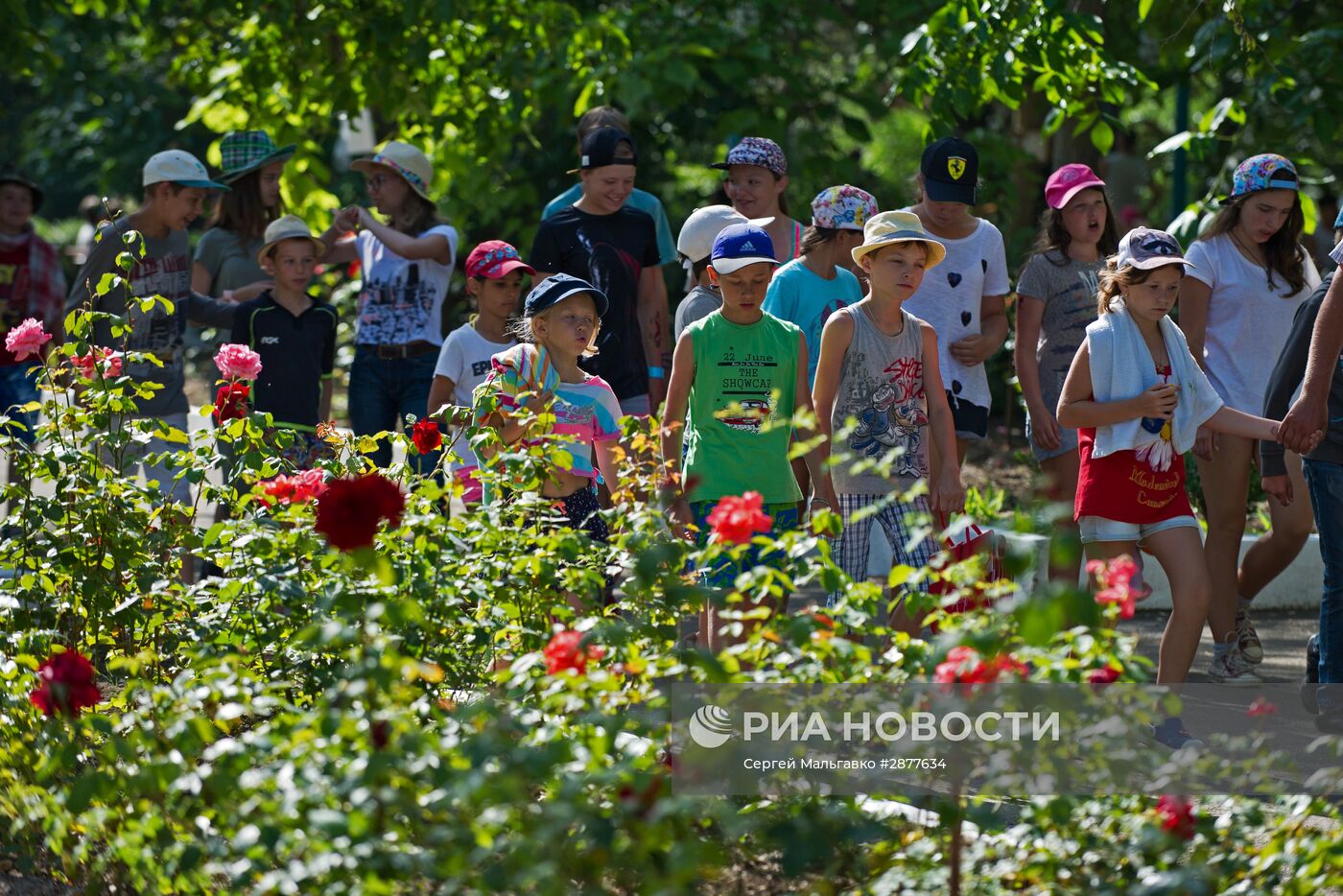Детский оздоровительный лагерь "Бригантина" в Крыму