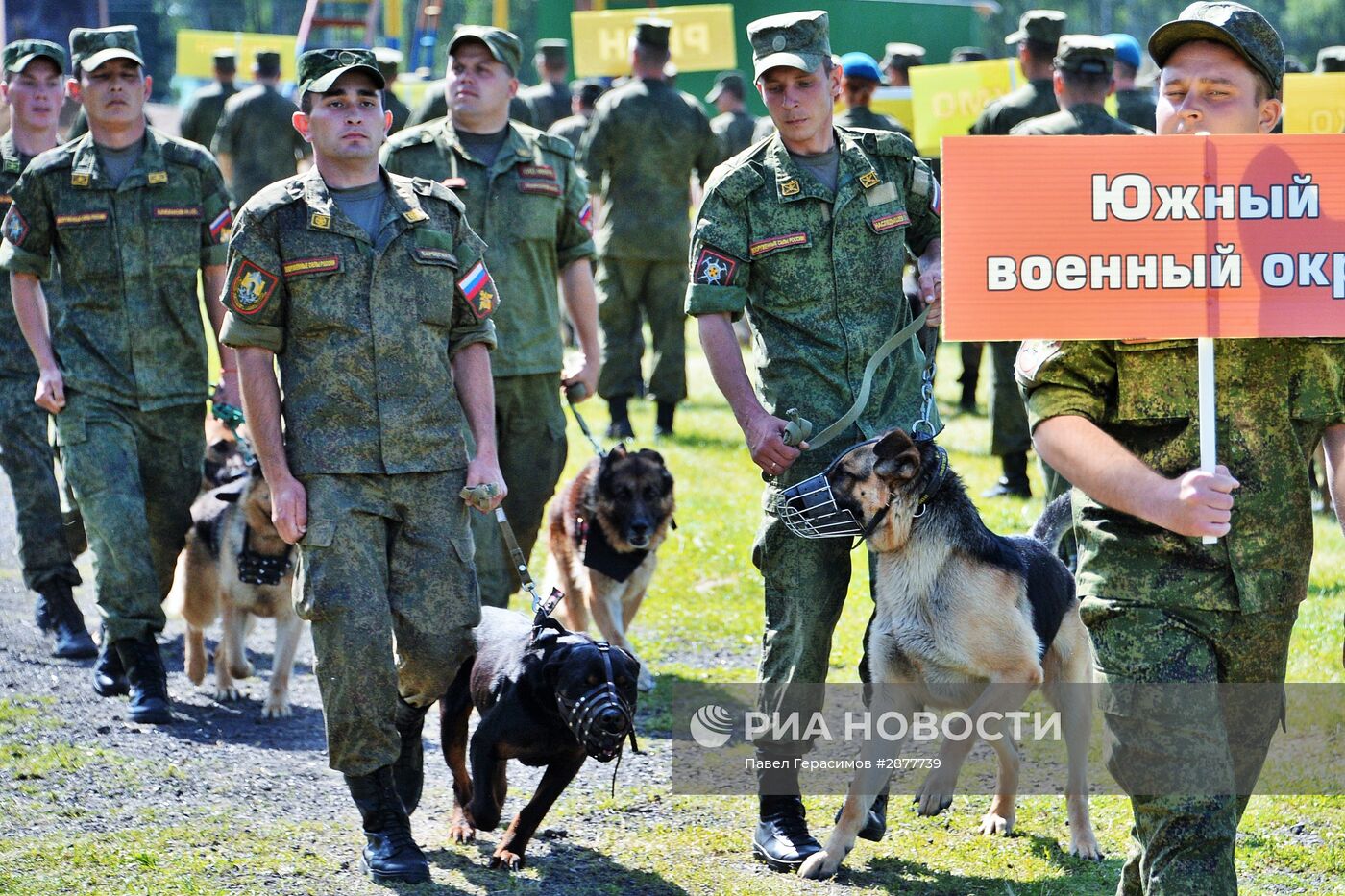 Открытие Всеармейского этапа конкурса кинологов ВС РФ "Верный друг"