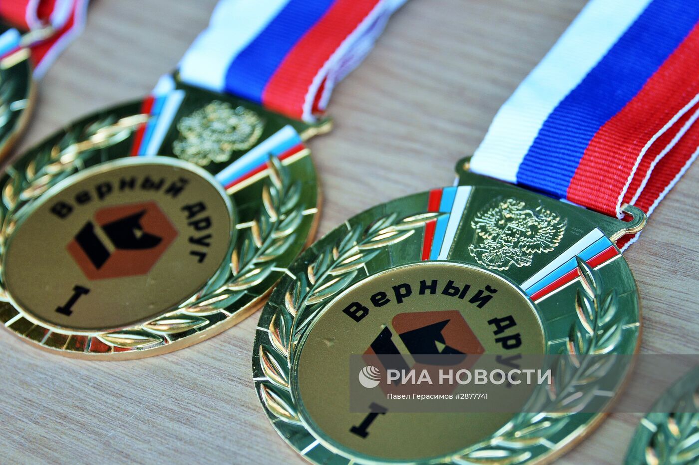 Открытие Всеармейского этапа конкурса кинологов ВС РФ "Верный друг"