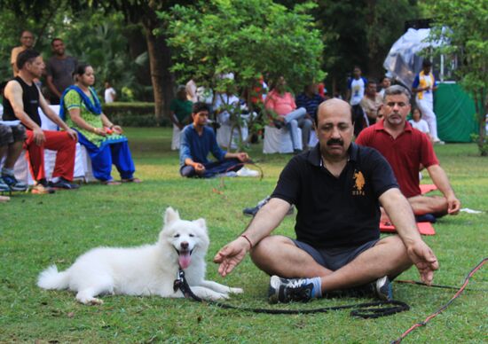 Жители Дели отметили Международный день йоги