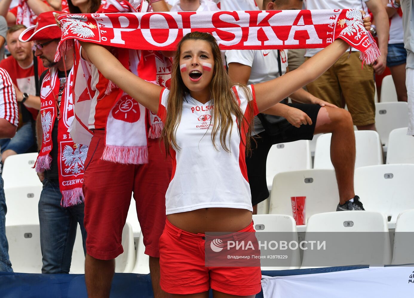 Футбол. Чемпионат Европы - 2016. Матч Украина - Польша