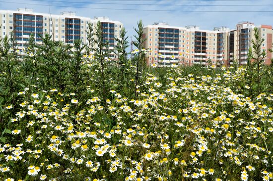 Жилищное строительство в Московской области