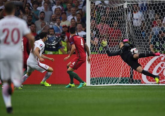 Футбол. Чемпионат Европы - 2016. Матч Польша - Португалия