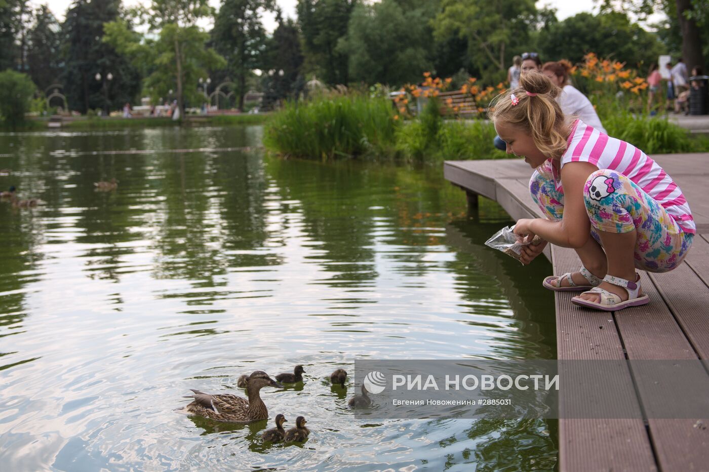 Лето в Москве