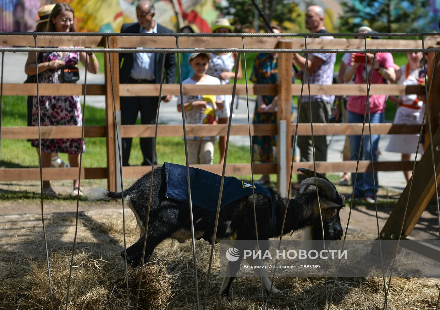 Встреча козла Тимура на ВДНХ и открытие Аллеи Славы на "Городской ферме"
