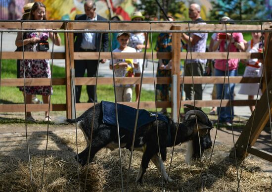 Встреча козла Тимура на ВДНХ и открытие Аллеи Славы на "Городской ферме"