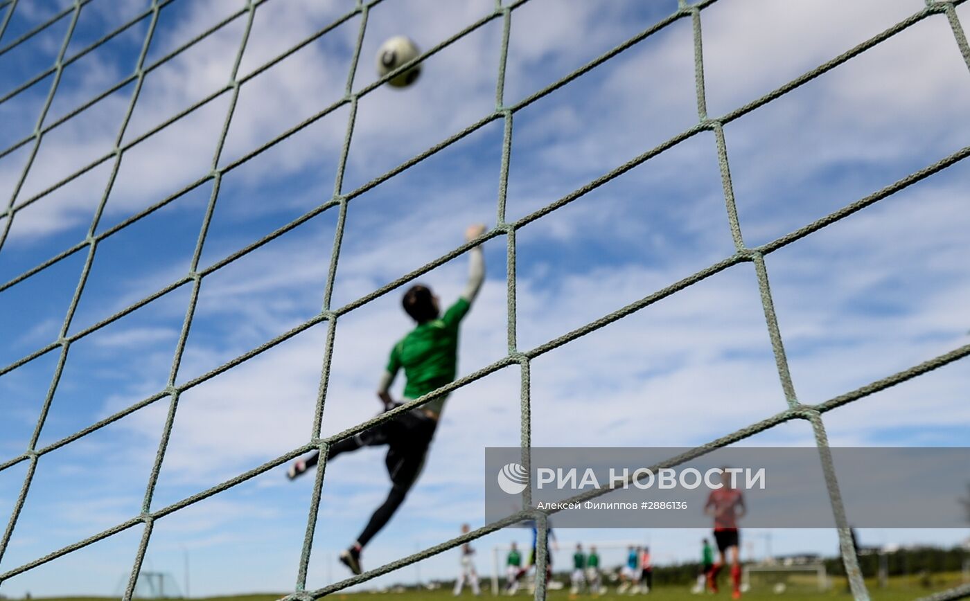 "Футбольная лихорадка" в Исландии