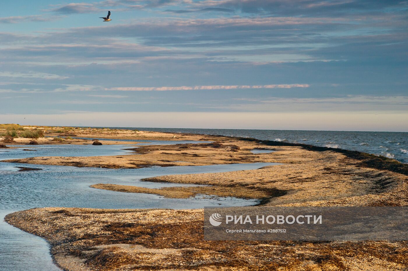 Орнитологический заповедник "Лебяжьи острова"