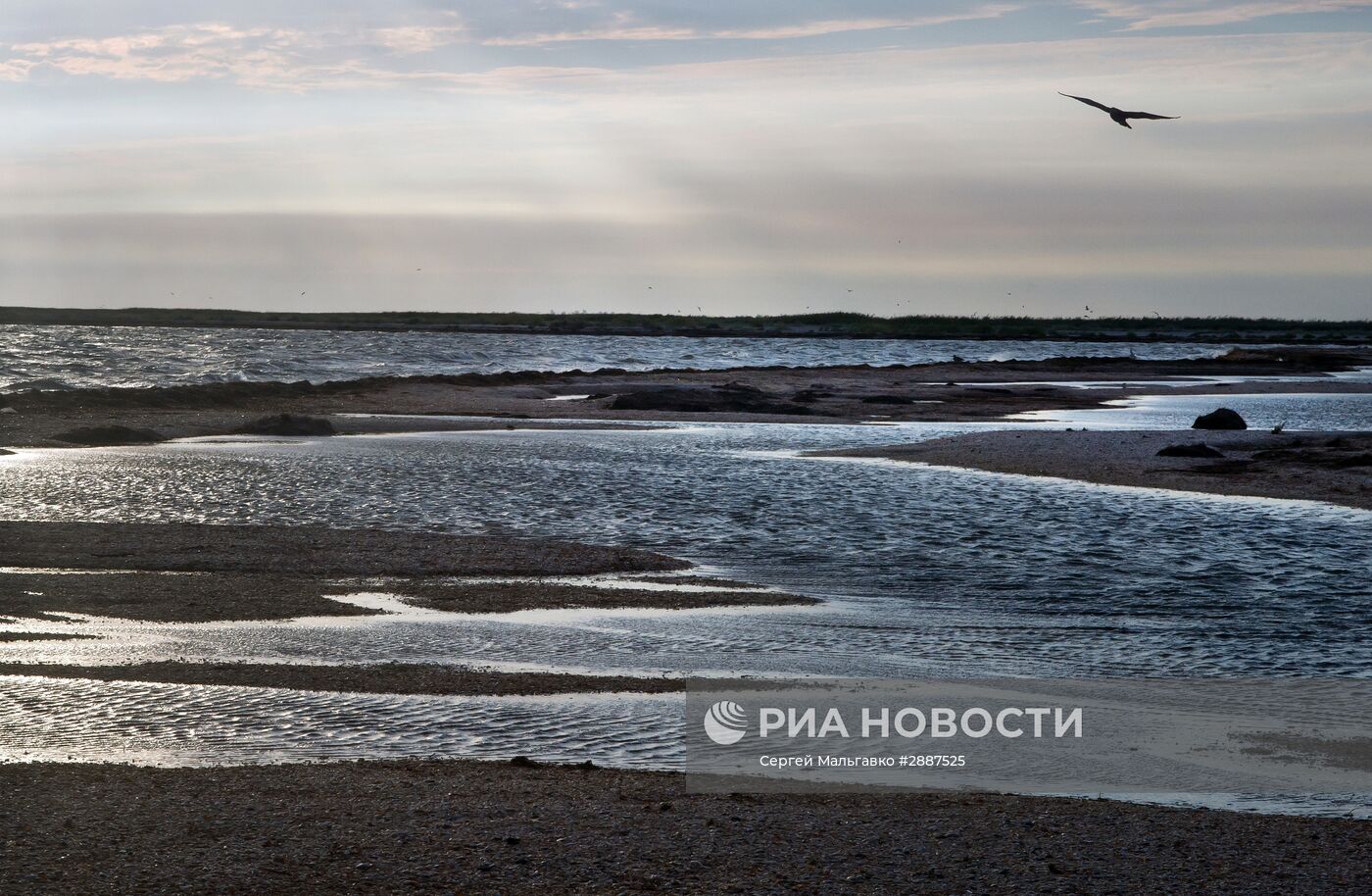 Орнитологический заповедник "Лебяжьи острова"