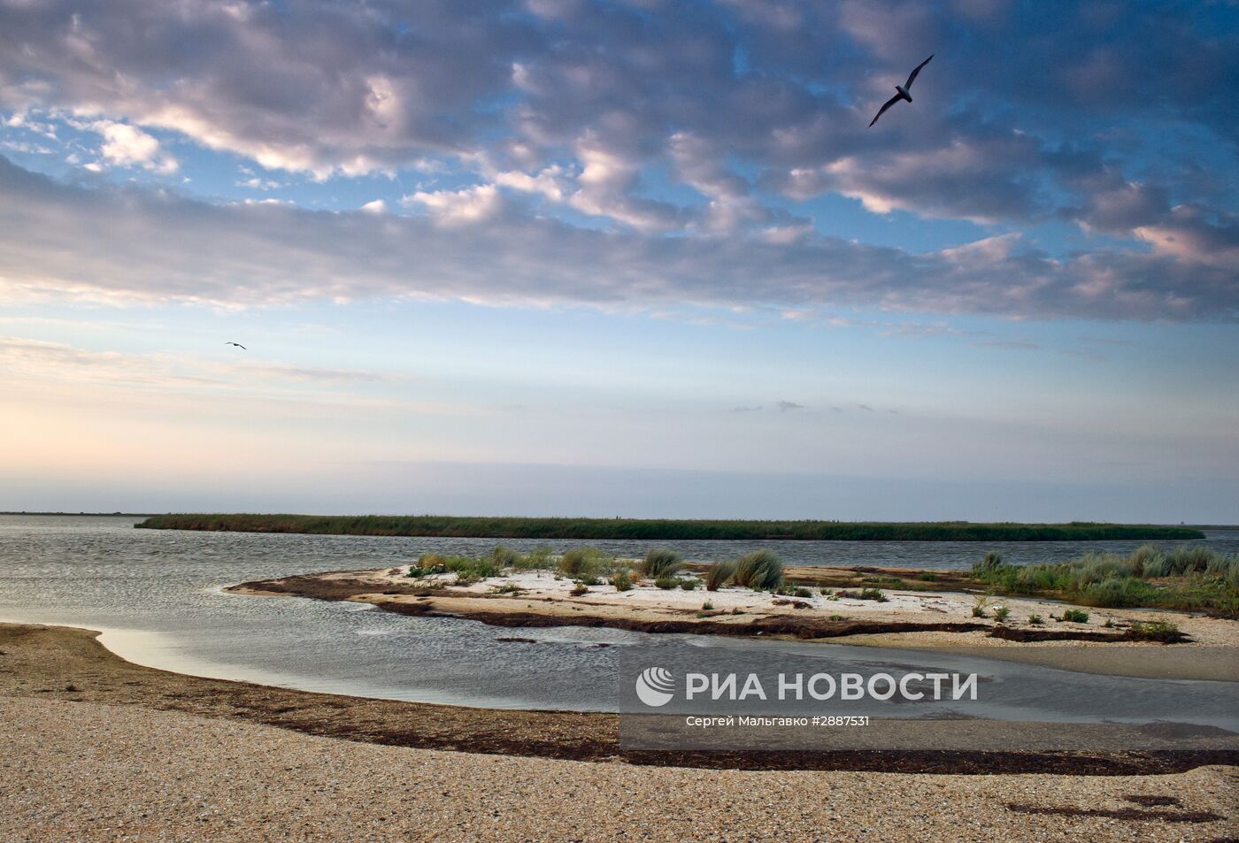 Орнитологический заповедник "Лебяжьи острова"