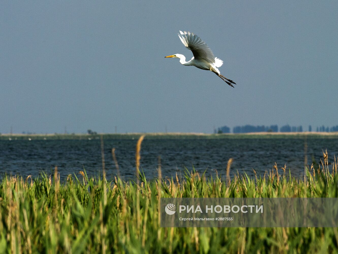 Орнитологический заповедник "Лебяжьи острова"