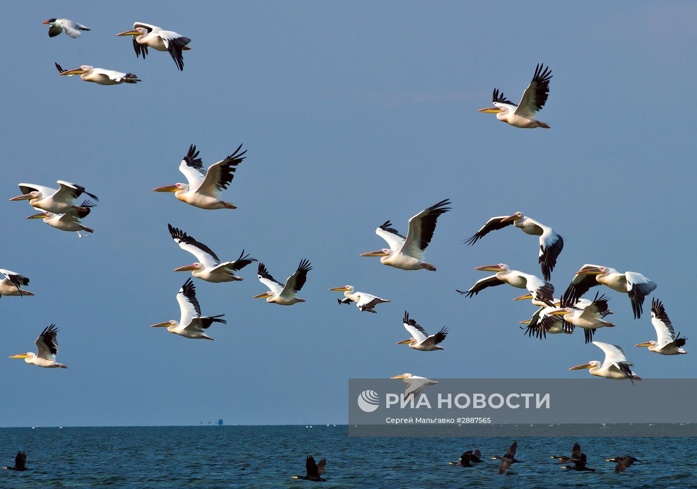 Орнитологический заповедник "Лебяжьи острова"