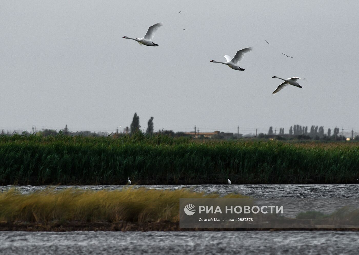 Орнитологический заповедник "Лебяжьи острова"