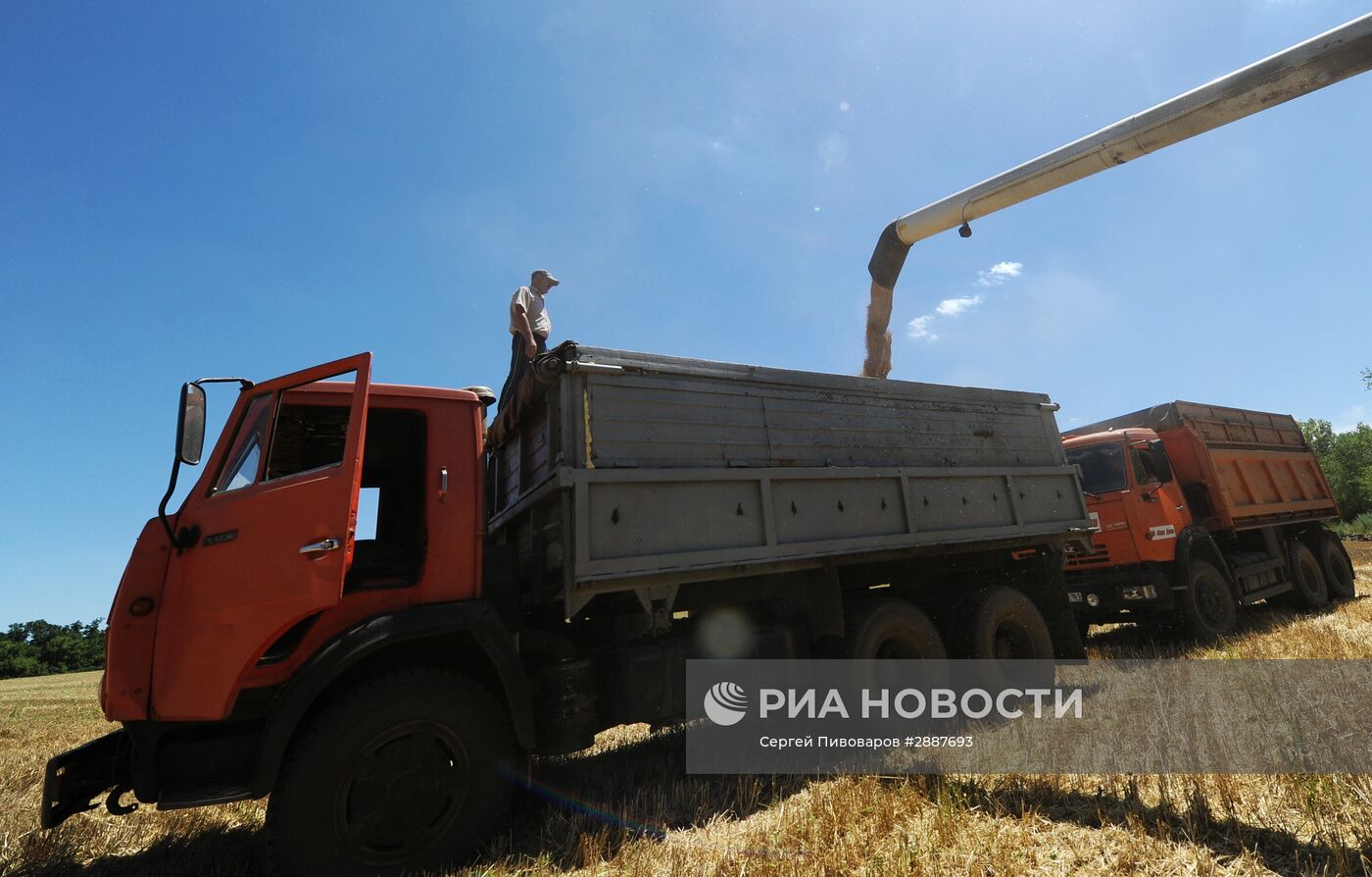 Уборка пшеницы в Ростовской области