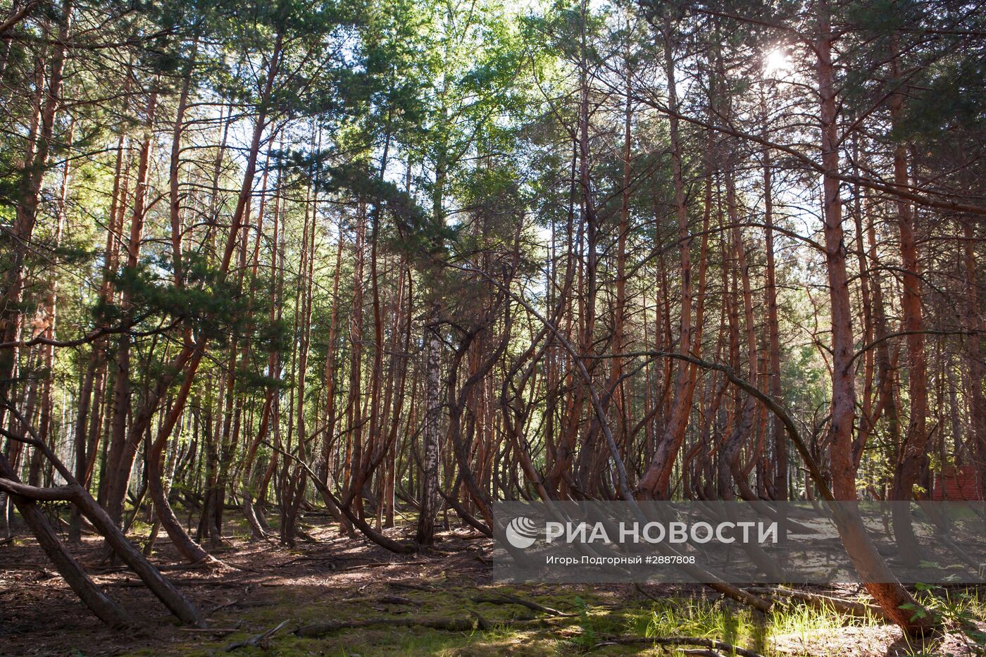 Регионы России. Рязанская область