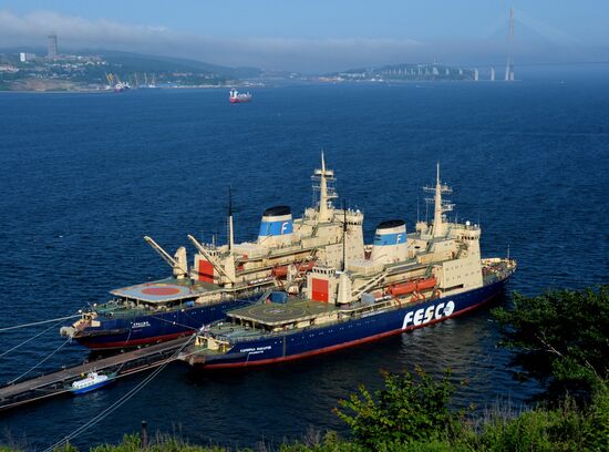 Ледоколы компании FESCO во Владивостоке