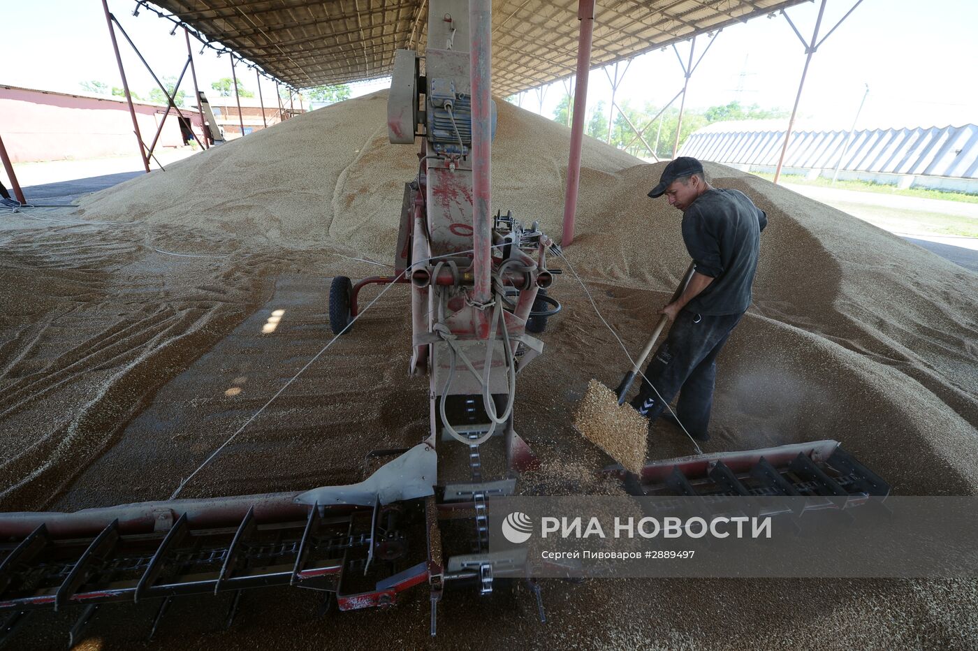 Уборка пшеницы в Ростовской области