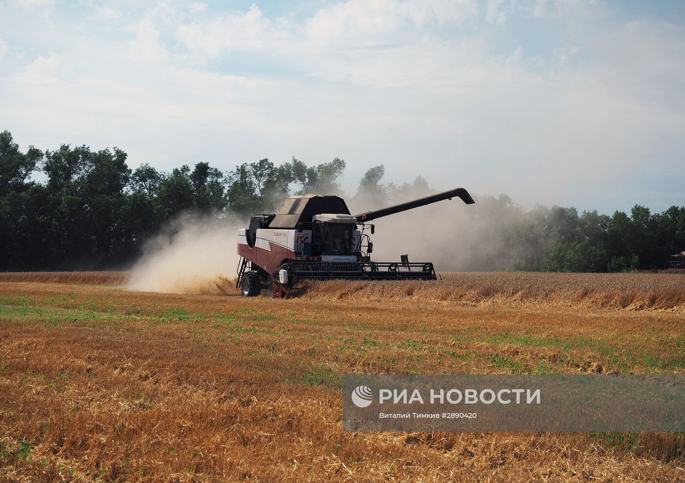 Уборка пшеницы в Краснодарском крае