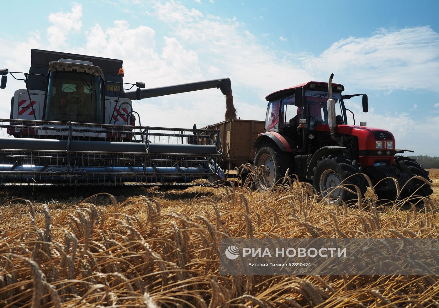 Joint stock company russian agricultural. Сельское хозяйство Ростовской. Сельское хозяйство Ростова на Дону.