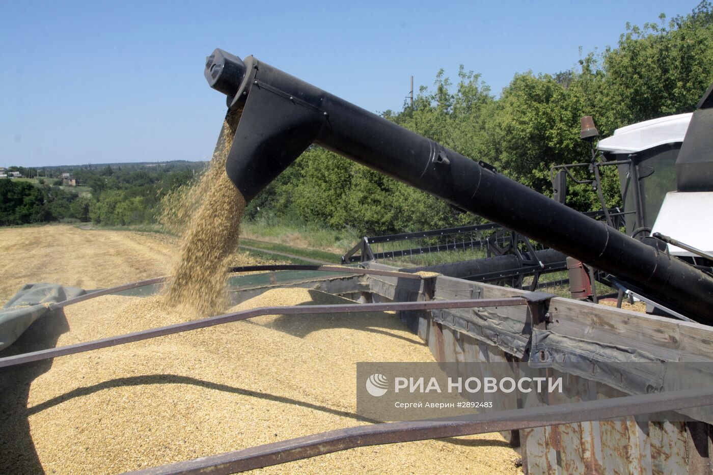 Уборка зерновых в ДНР