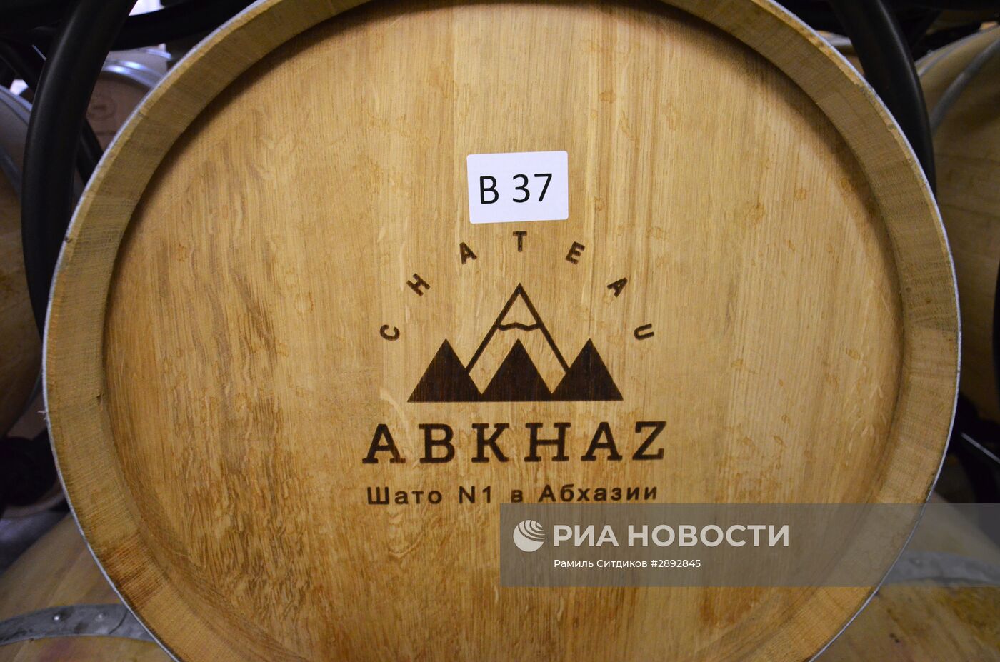 Виноделие в Абхазии