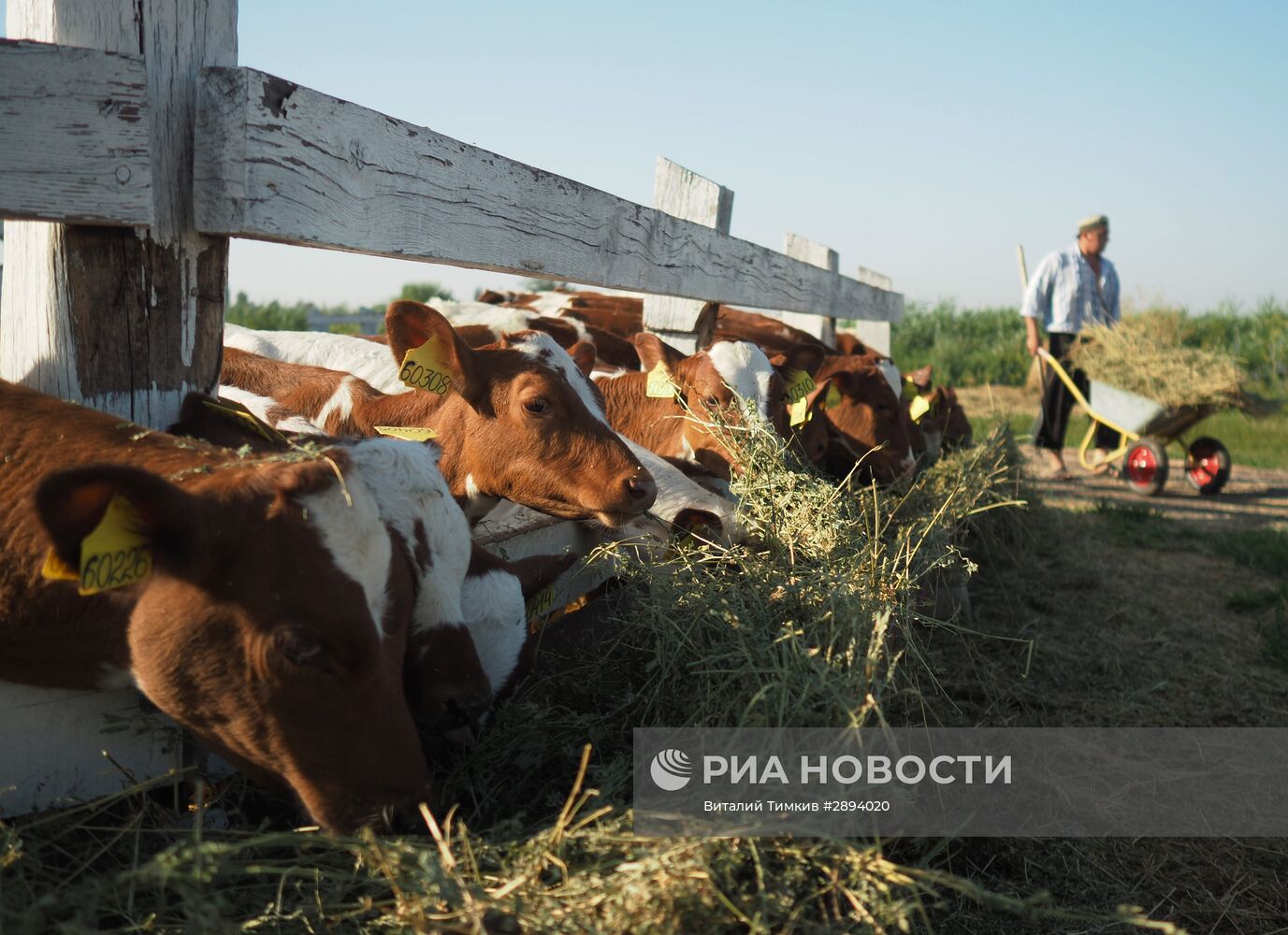 Фермерское хозяйство "Кладовая солнца"