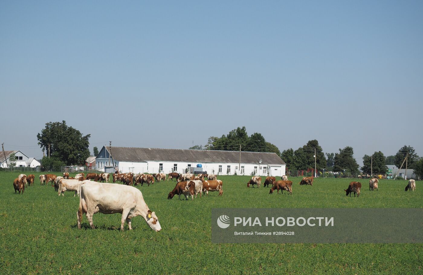 Фермерское хозяйство "Кладовая солнца"