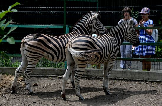 Пополнение в частном зоопарке во Владивостоке