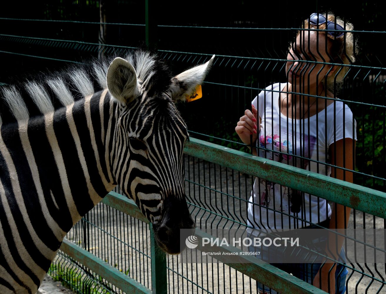 Пополнение в частном зоопарке во Владивостоке