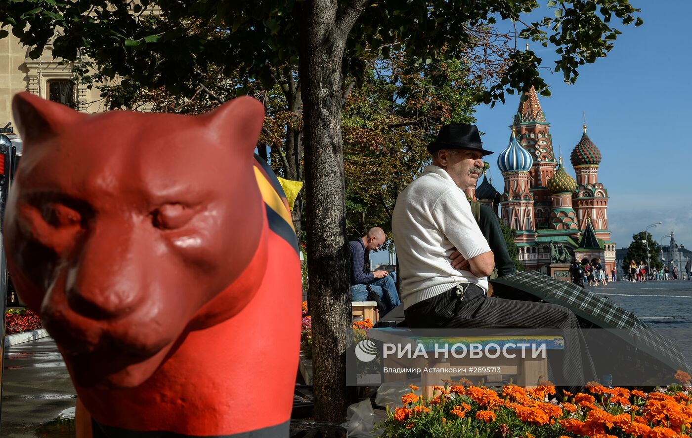 Экологический арт-фестиваль "Парад диких кошек"