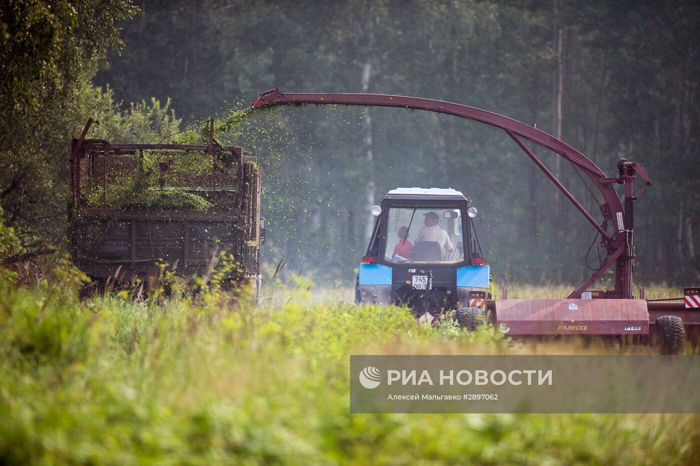 Работа сельскохозяйственной фермы в селе Ложниково Омской области