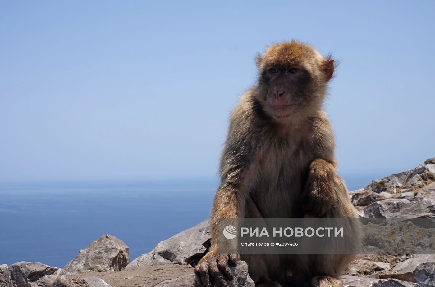 Страны мира. Великобритания