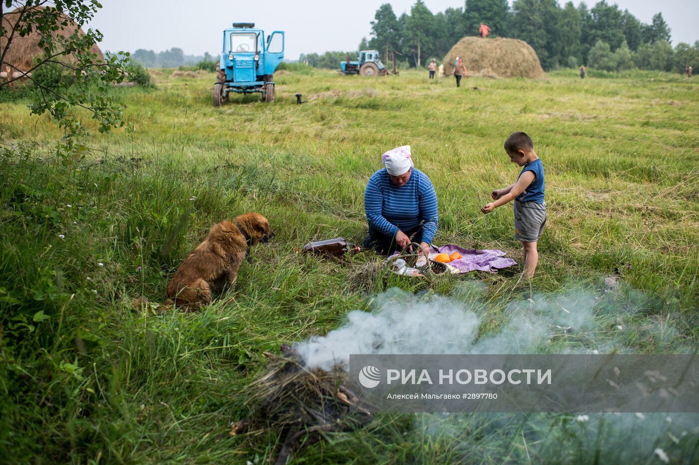 Заготовка сена в Омской области