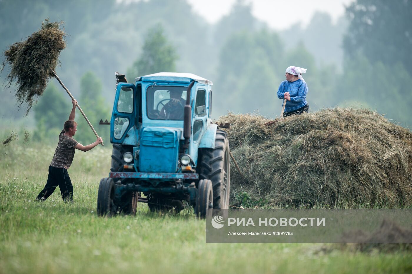 Заготовка сена в Омской области