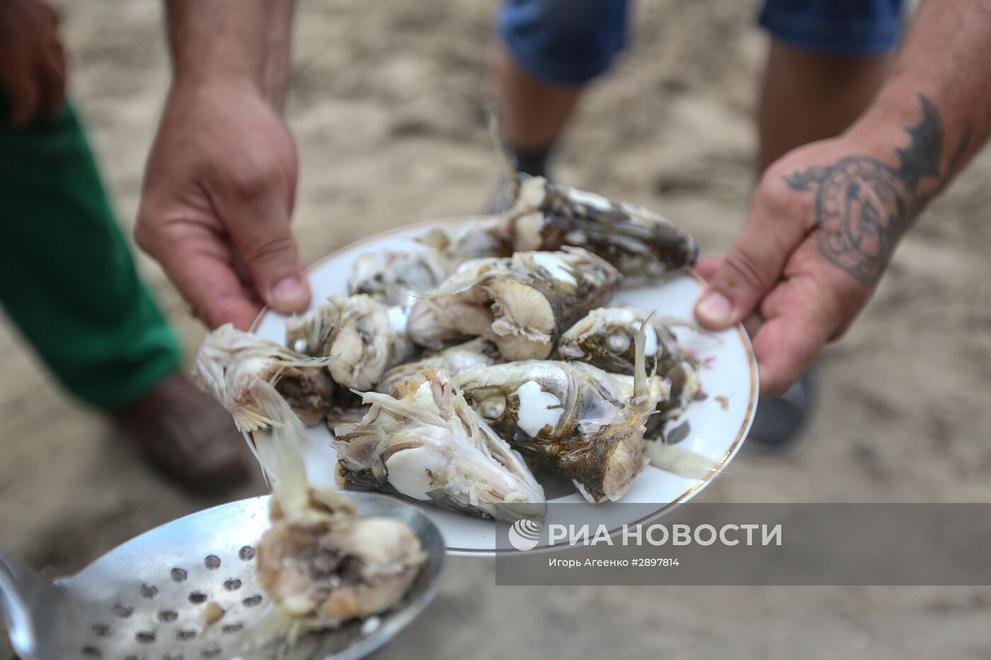 Фестиваль ухи в Саратовской области